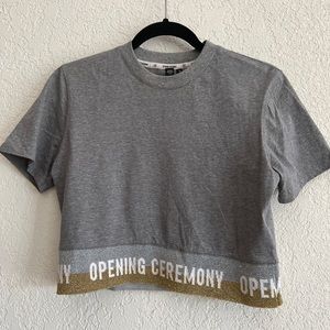 Opening Ceremony Crop Top